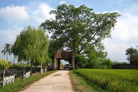 Đường Lâm Ancient Village - Son Tay Hanoi  - ảnh 1